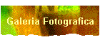 Galeria Fotografica