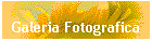Galeria Fotografica